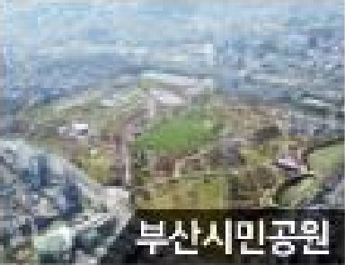 부산시민공원